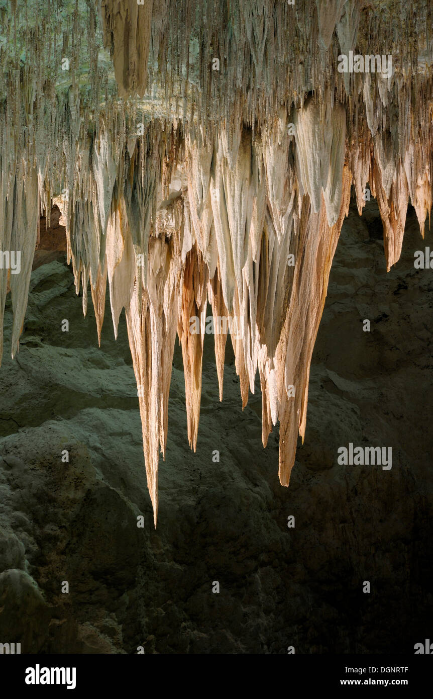 Chandelier, stalactite formation, Carlsbad Caverns National Park, New