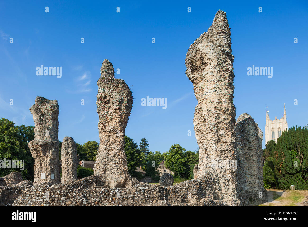 England, East Anglia, Bury St.Edmunds, The Abbey Ruins Stock Photo
