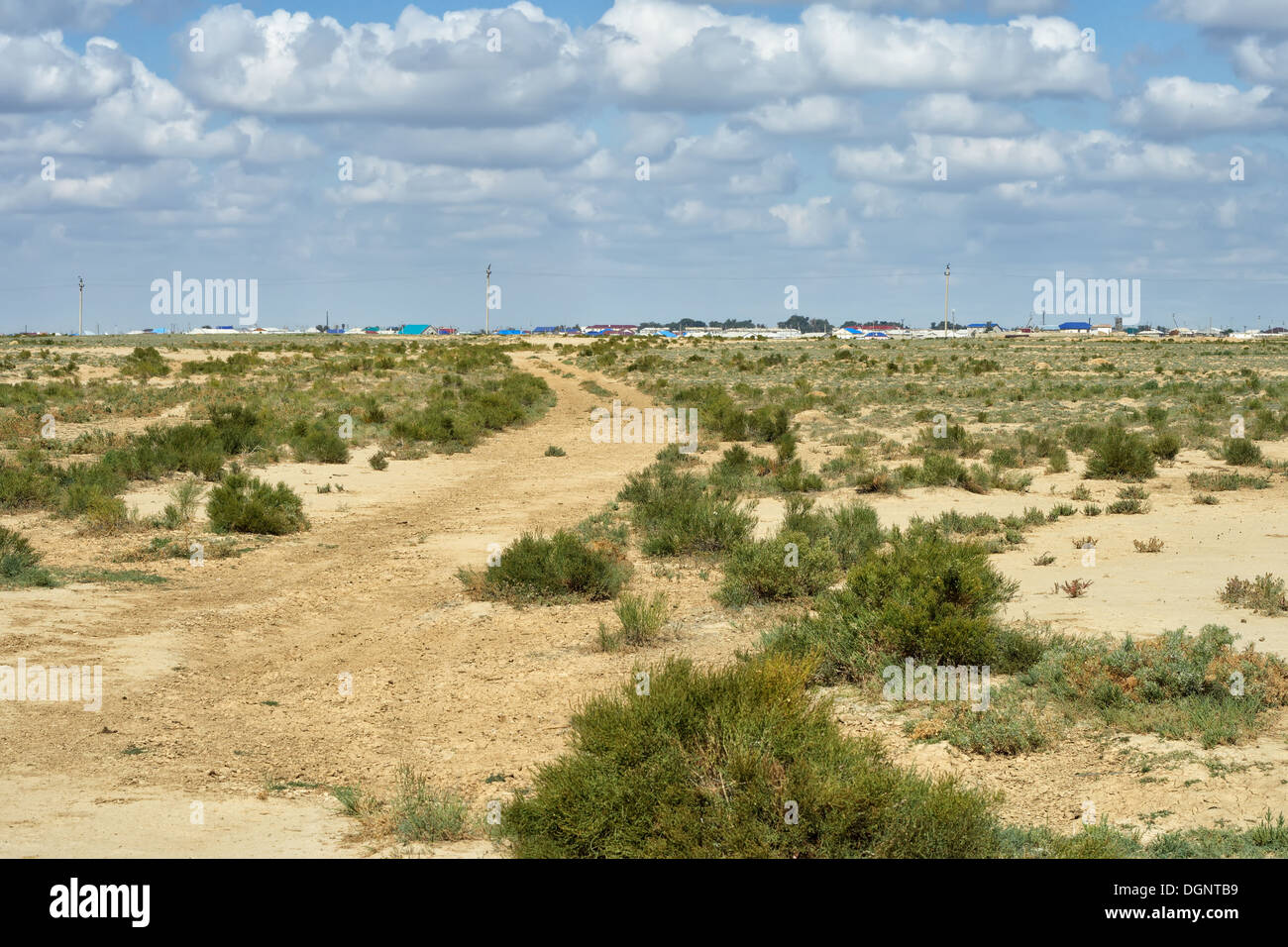 road, adventure, background, cloud, sky, desert, direction, dried, grass, dry, off-road, path, perspective, sand, sandy, terrain Stock Photo