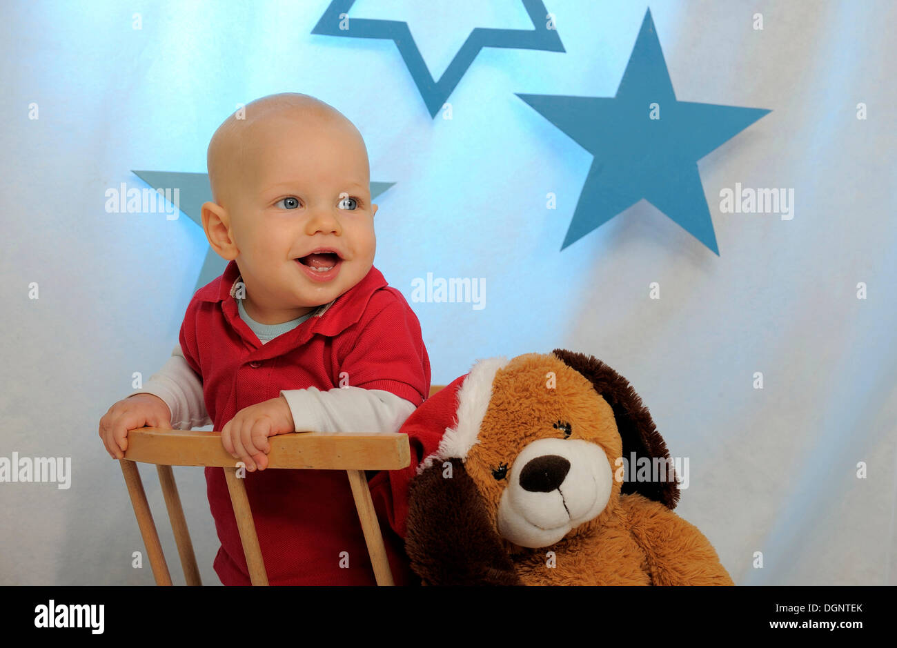 Little boy with a Christmassy cuddly dog toy, stars at back Stock Photo