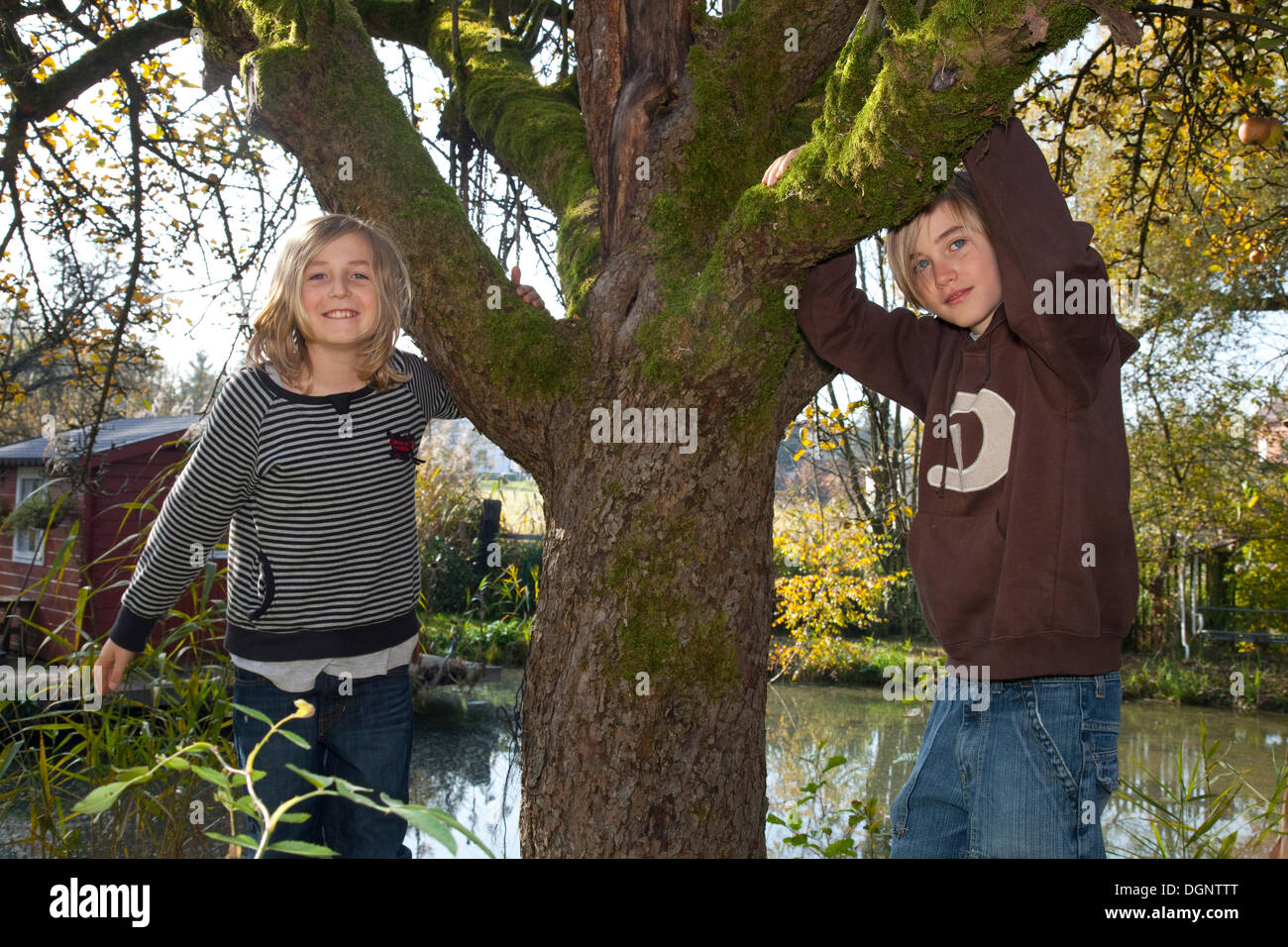 Two boys playing at a tree Stock Photo - Alamy