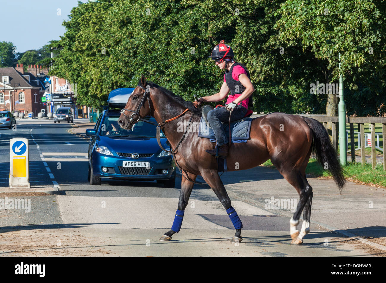 Racehorses crossing hires stock photography and images Alamy
