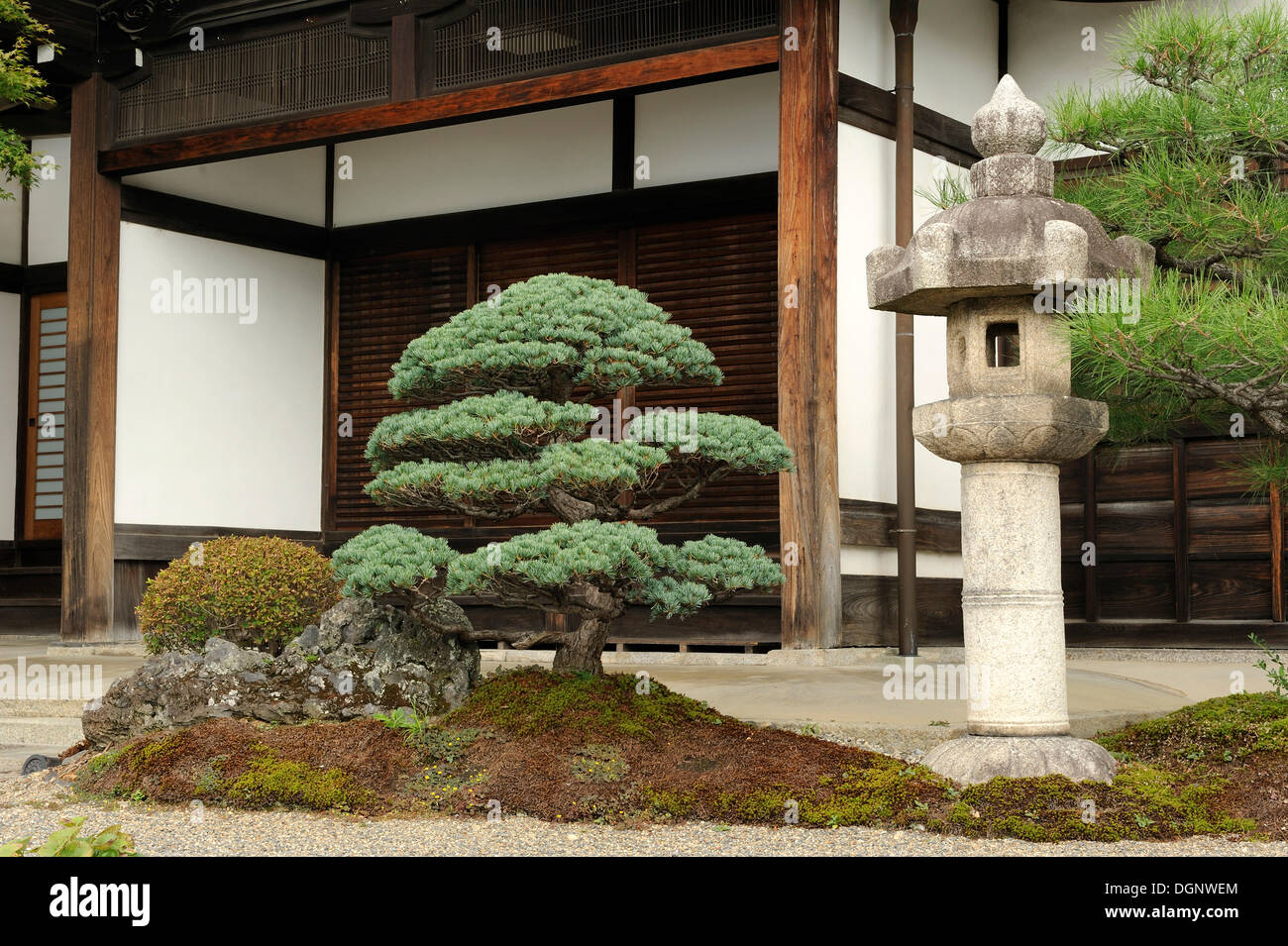 Bonsai pine tree, stone lamp, and a shoji, a sliding door, Iwakura near Kyoto, Japan, Asia Stock Photo