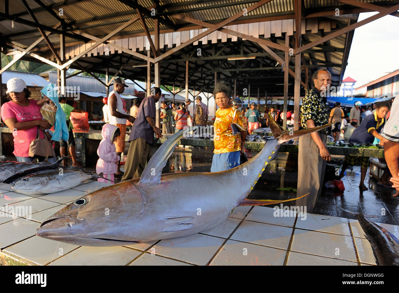 Tuna at the fish market in Kota Biak, Biak Island, Irian Jaya, Indonesia, Southeast Asia, Asia Stock Photo