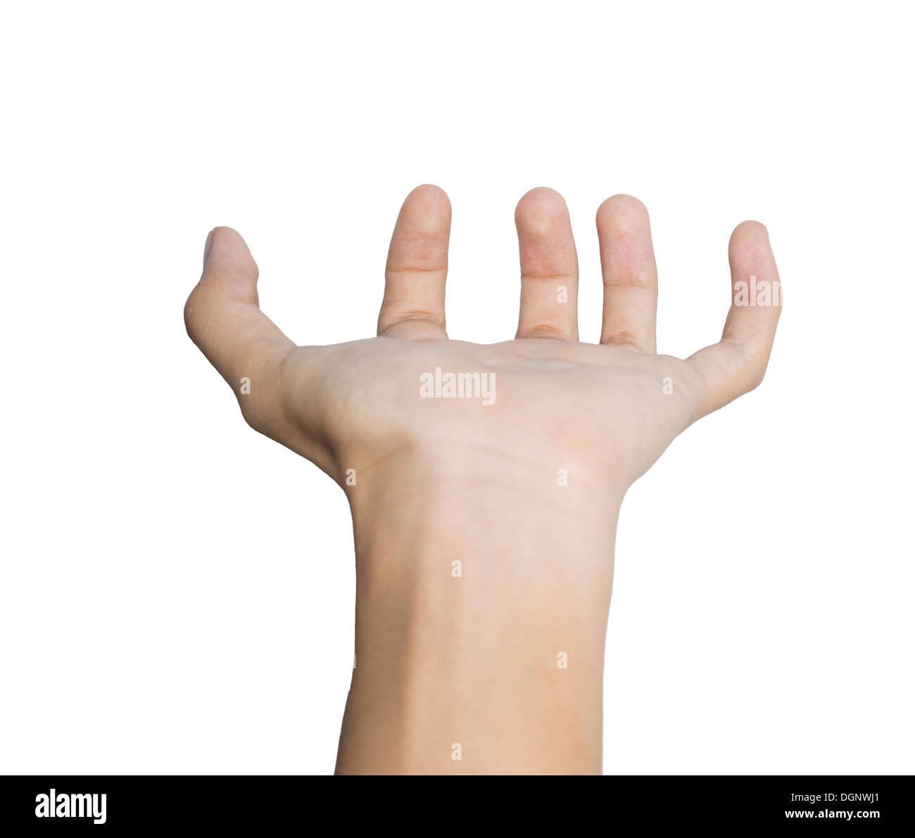 Woman hand holding something empty isolated on white background Stock ...