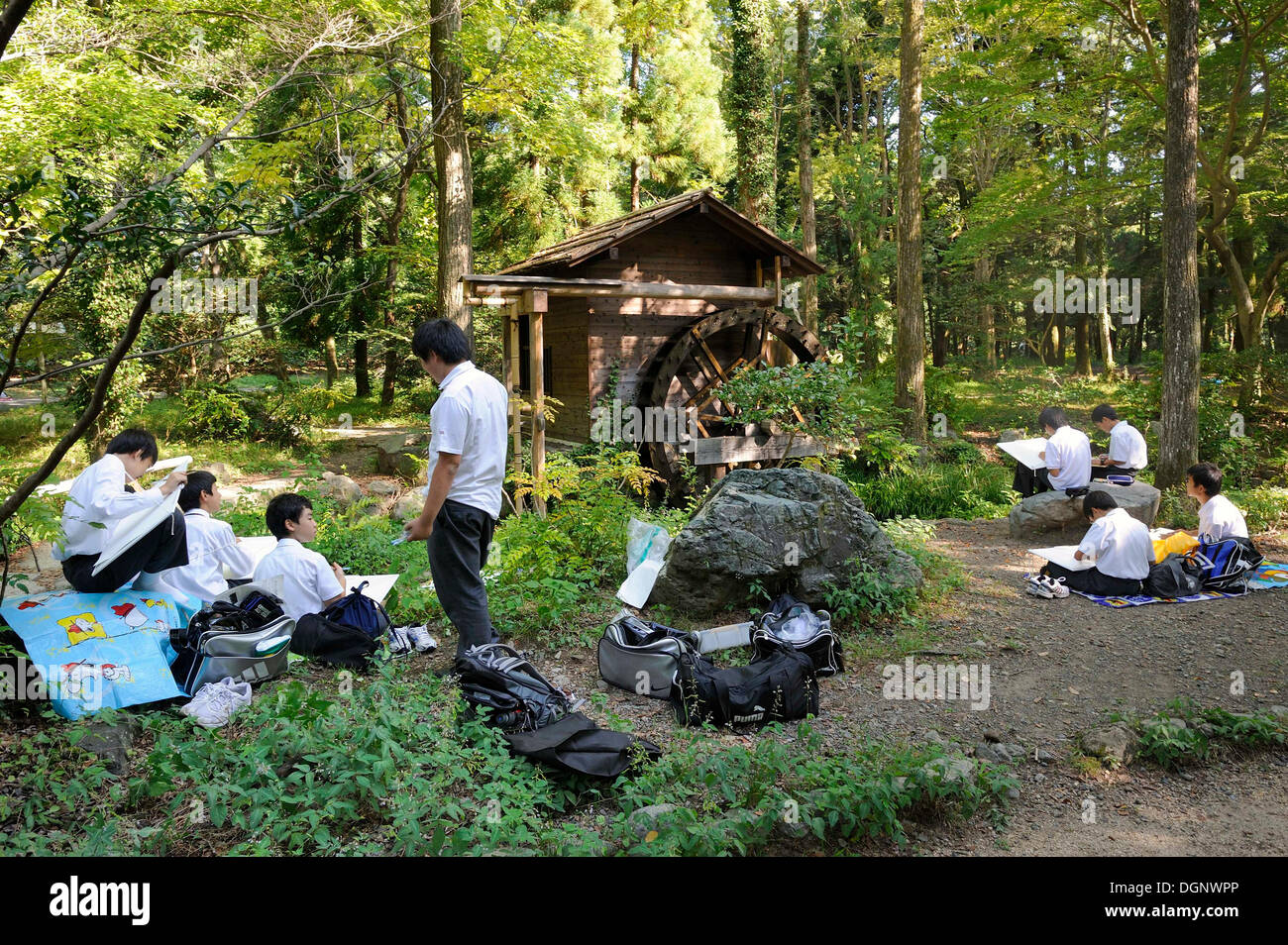 Students painting plants in the Botanical Garden, Kyoto, Japan, East Asia, Asia Stock Photo