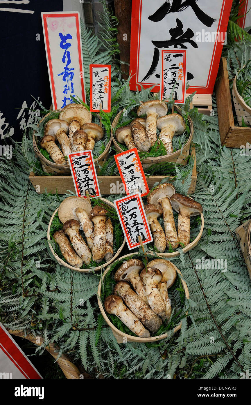 A gourmet food store offering bamboo shoots and mushrooms, including matsutake, pine mushrooms (Tricholoma matsutake) Stock Photo