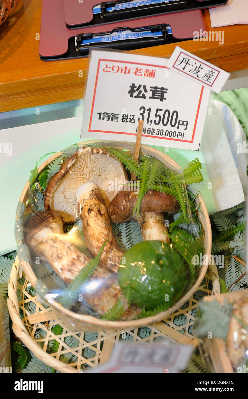 Matsutake, the most expensive edible mushroom, here offered wrapped as