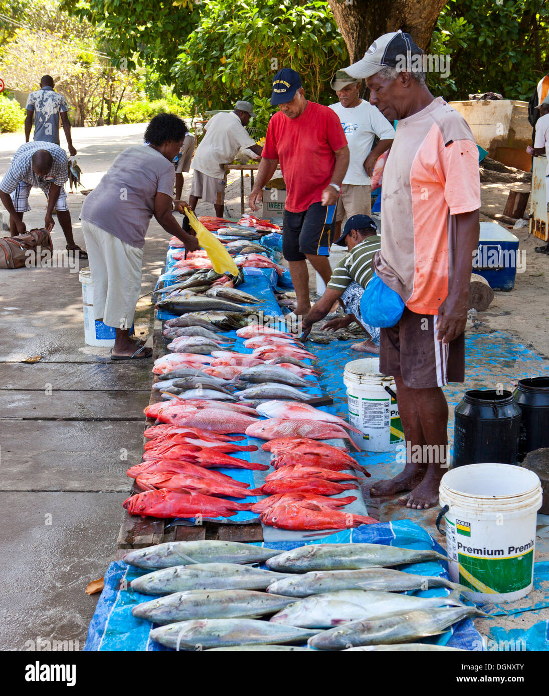 Fish market at Anse Royale, Mahe Island, Seychelles, Africa, Indian