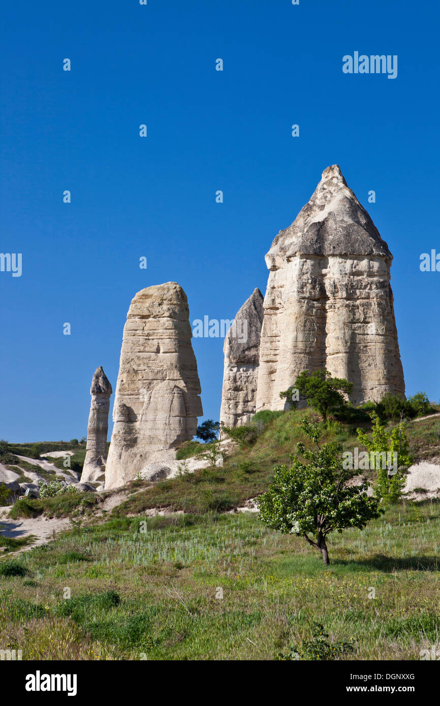 Fairy world hi-res stock photography and images - Alamy