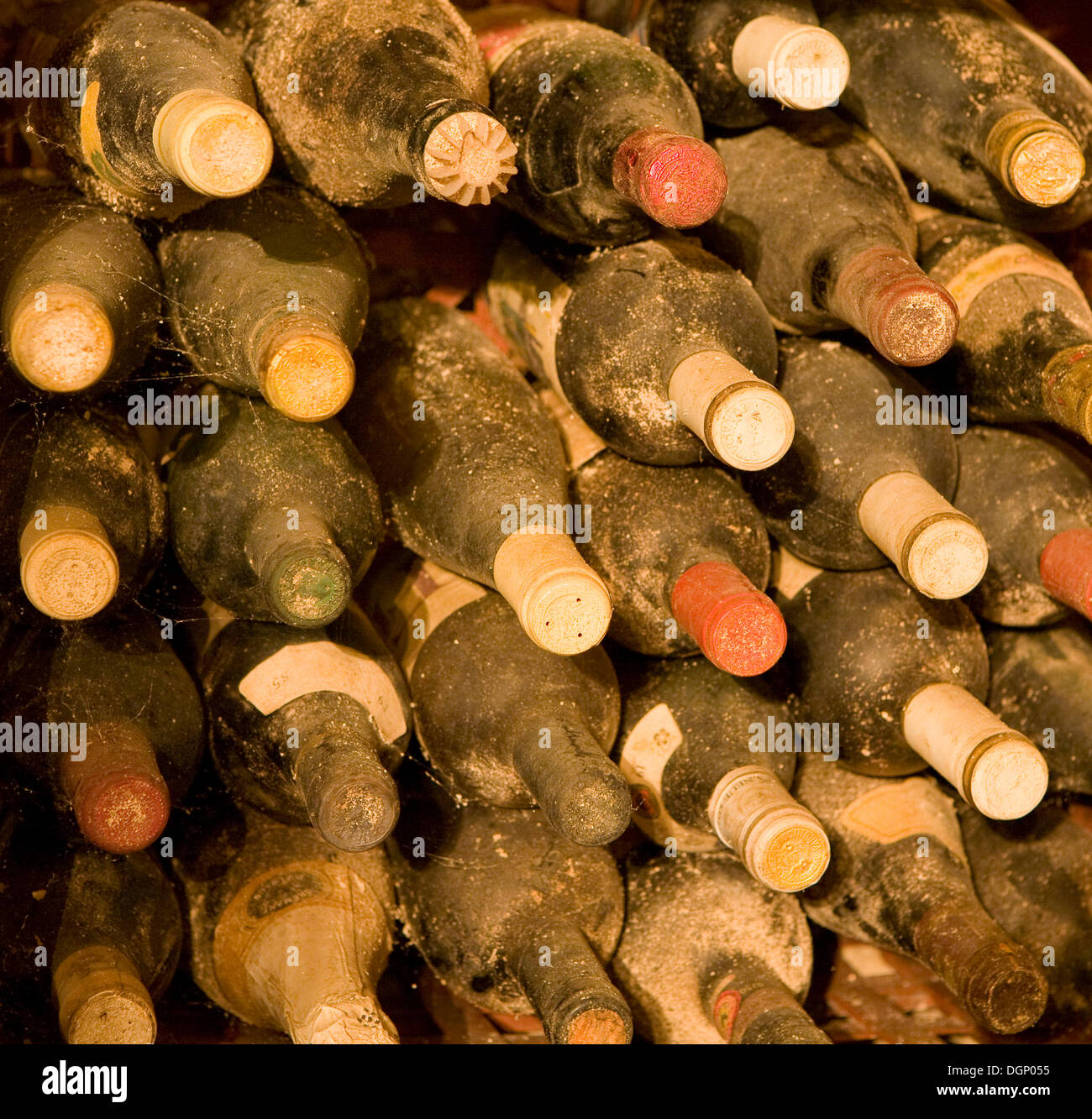 Wine bottles in storage Stock Photo Alamy