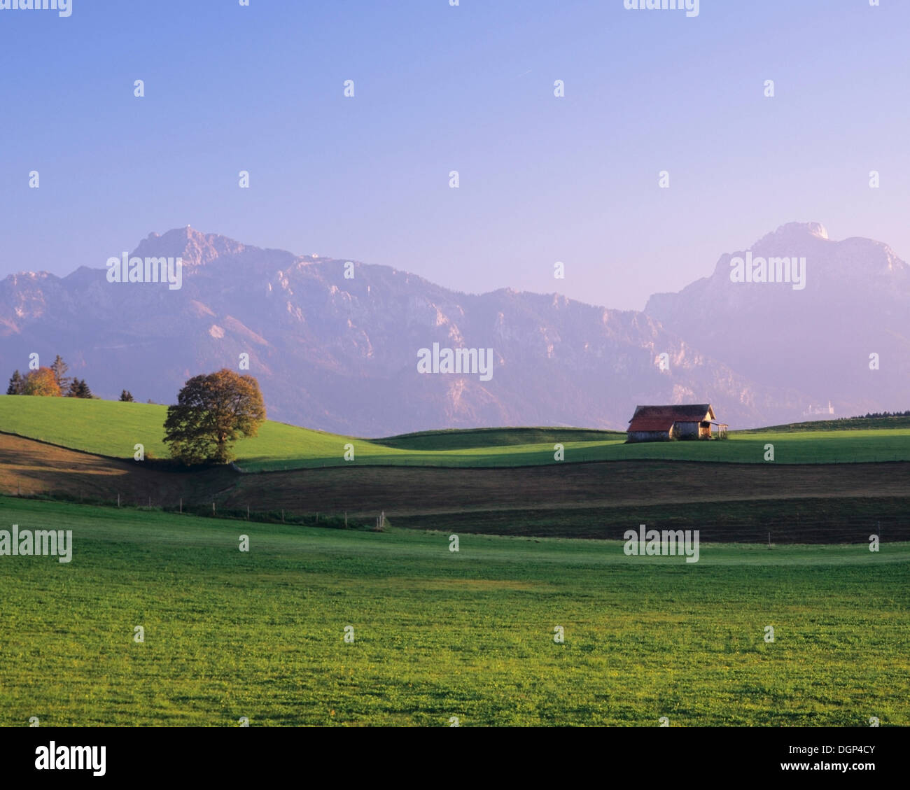 Alpine landscape in Ostallgaeu district, Bavaria Stock Photo