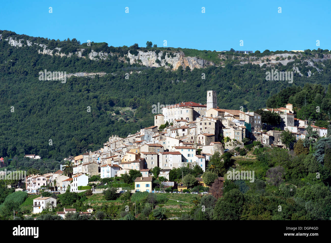 Bar sur loup hi-res stock photography and images - Alamy