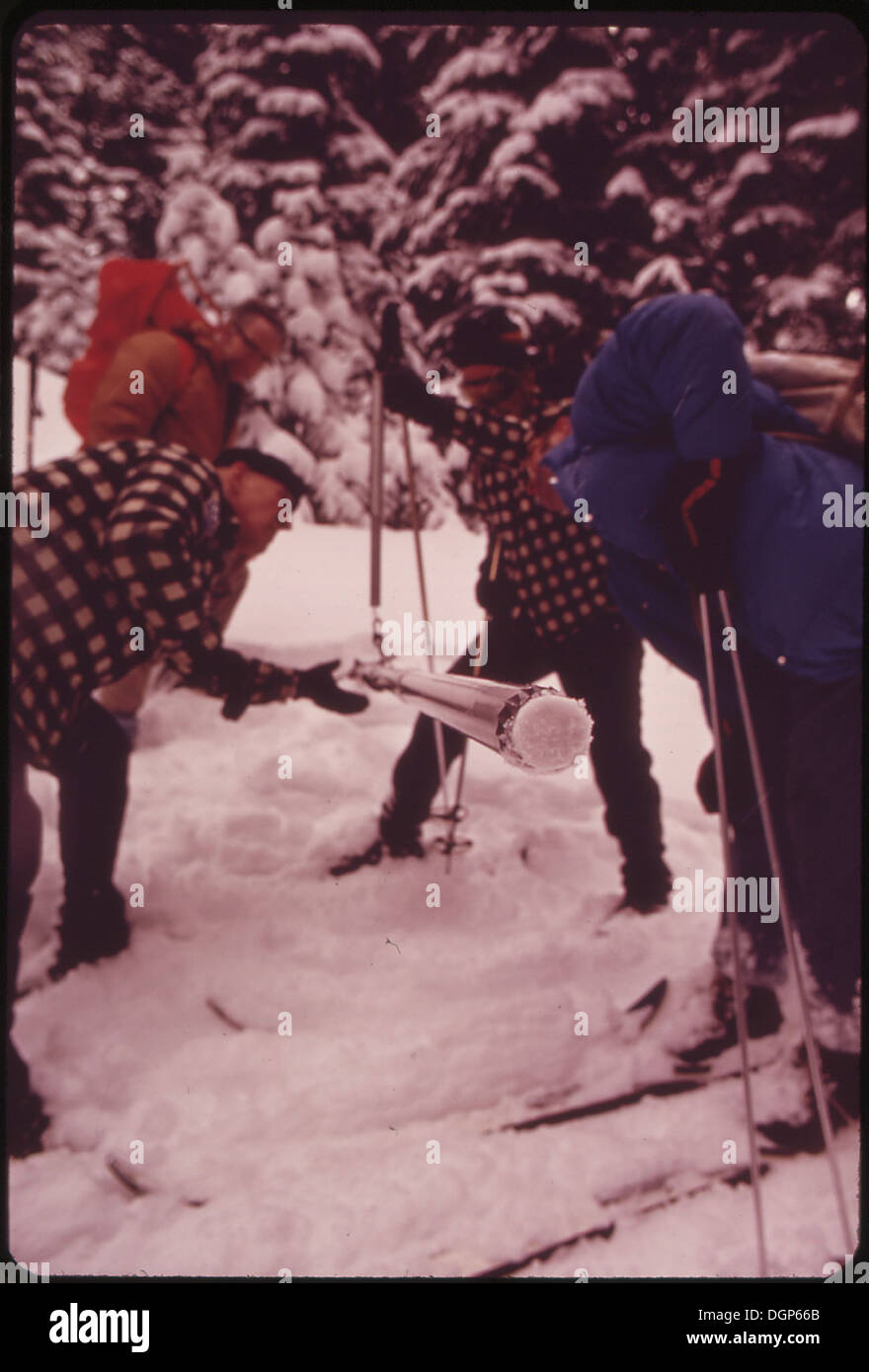 MEMBERS OF THE CRAG RATS CLIMBING CLUB MAKE WINTER SNOW SURVEYS FOR THE U.S. SOIL CONSERVATION SERVICE AT TILLY JANE... 548046 Stock Photo