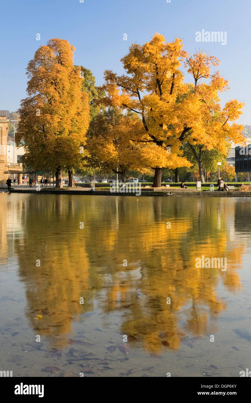 Autumnal trees in Schlossgarten, castle gardens, Stuttgart, Baden-Wuerttemberg Stock Photo