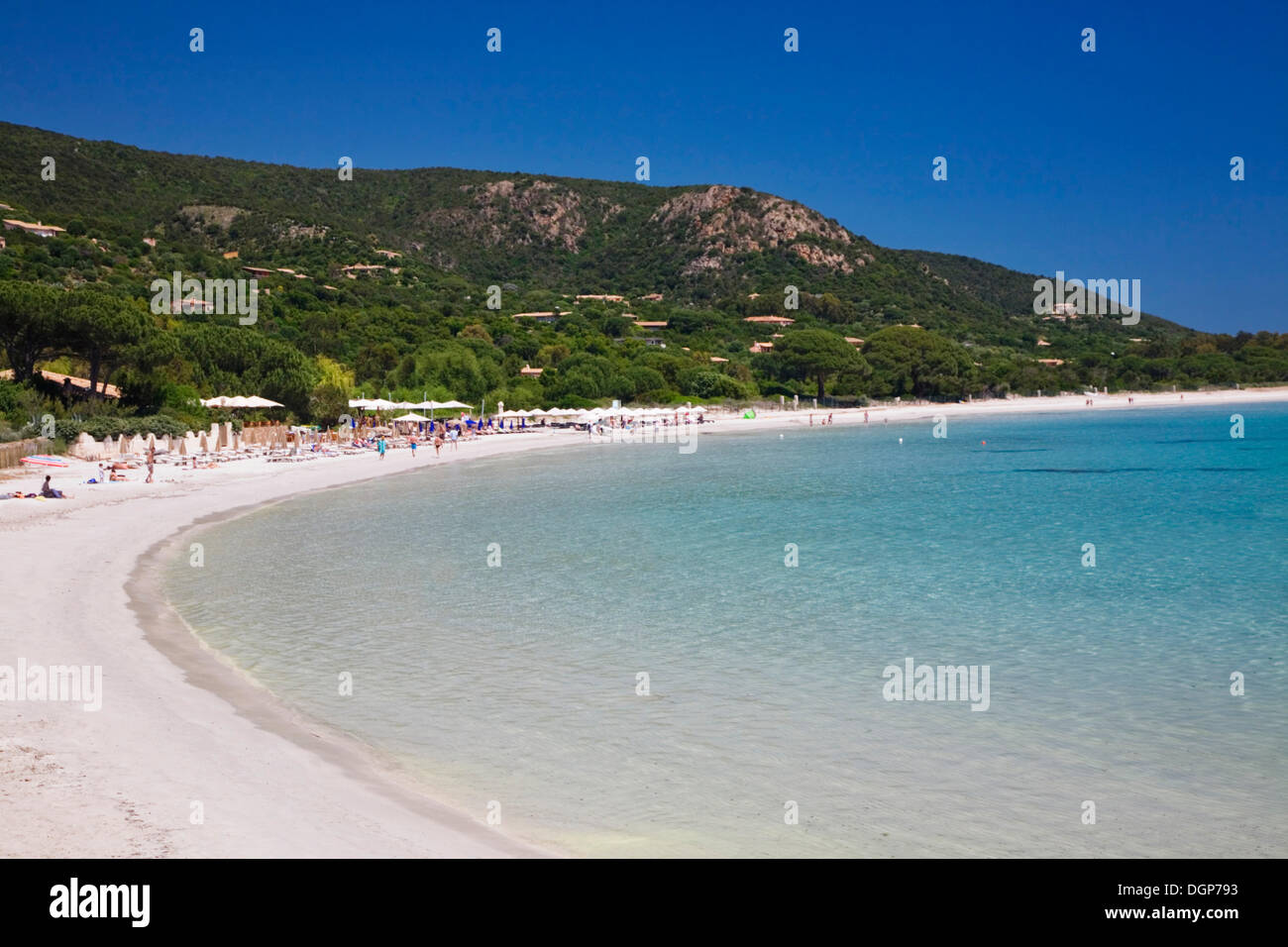 palombaggia-beach-corsica-france-europe-stock-photo-alamy