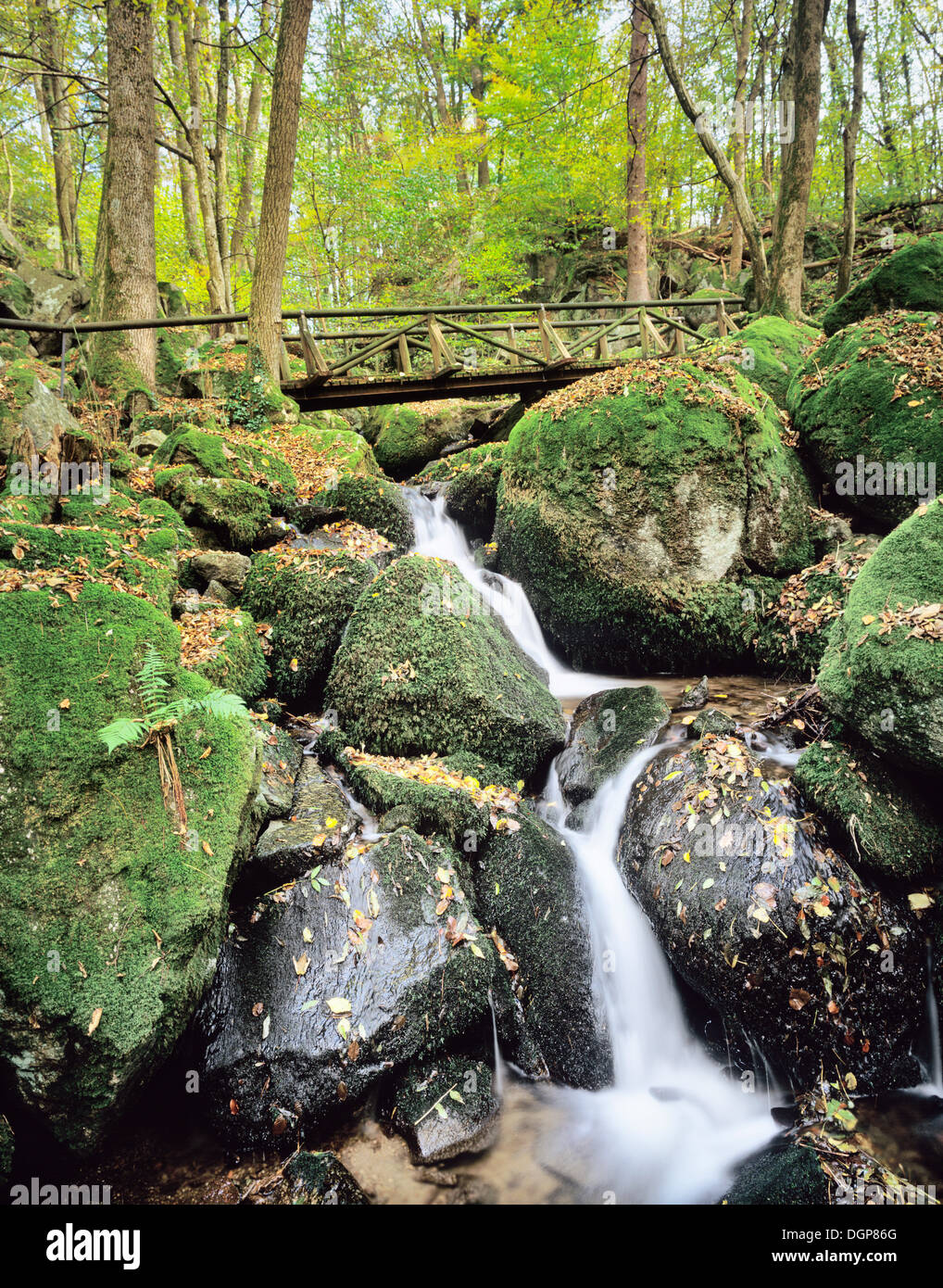 Gaishoelle waterfall near Sasbachwalden, Northern Black Forest, Baden-Wuerttemberg Stock Photo