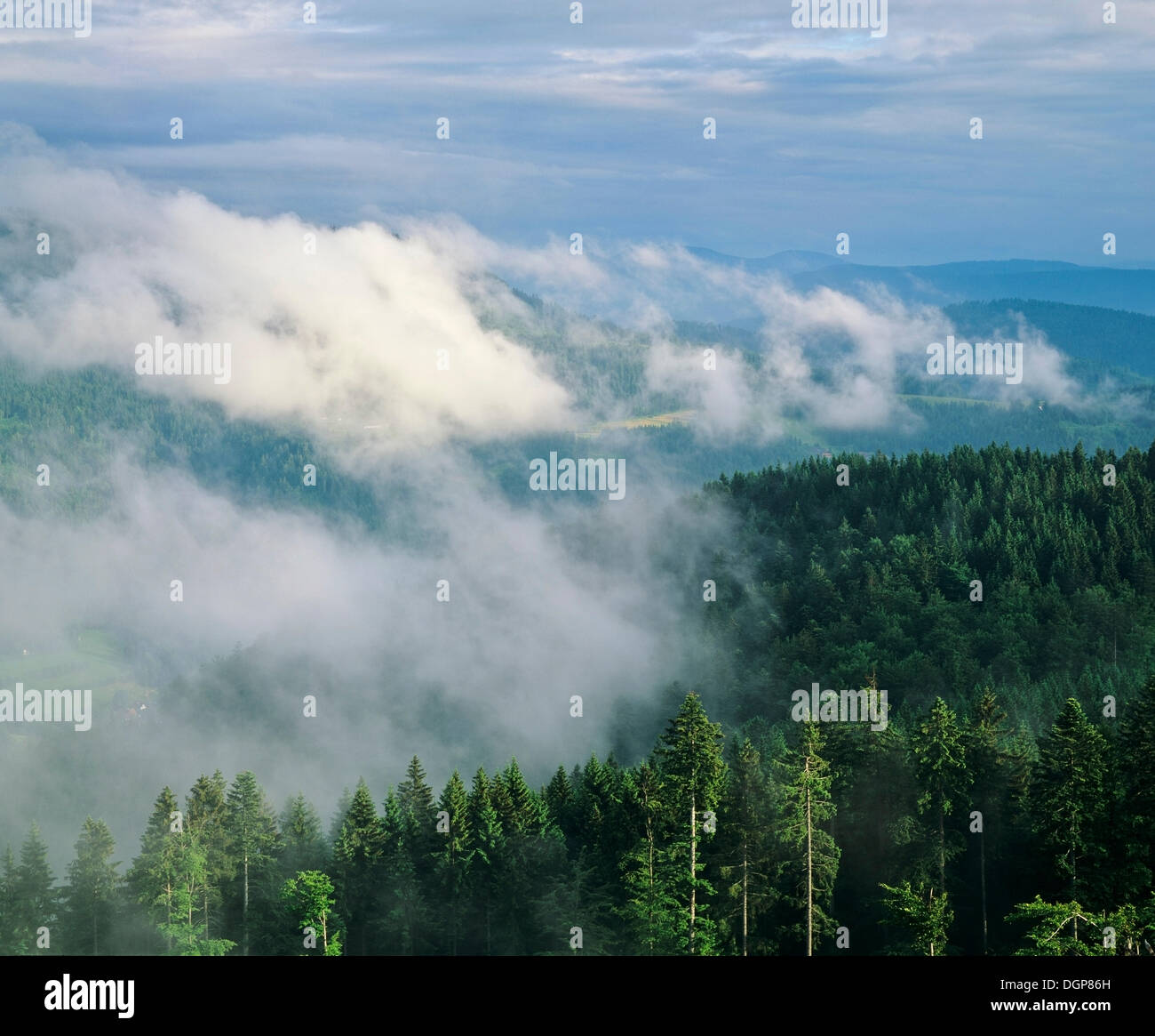 Fog over Achertal valley, Northern Black Forest, Baden-Wuerttemberg Stock Photo