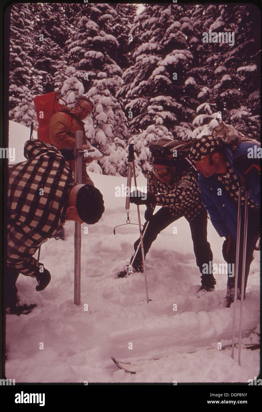 MEMBERS OF THE CRAG RATS CLIMBING CLUB MAKE WINTER SNOW SURVEYS FOR THE U.S. SOIL CONSERVATION SERVICE AT TILLY JANE... 548042 Stock Photo