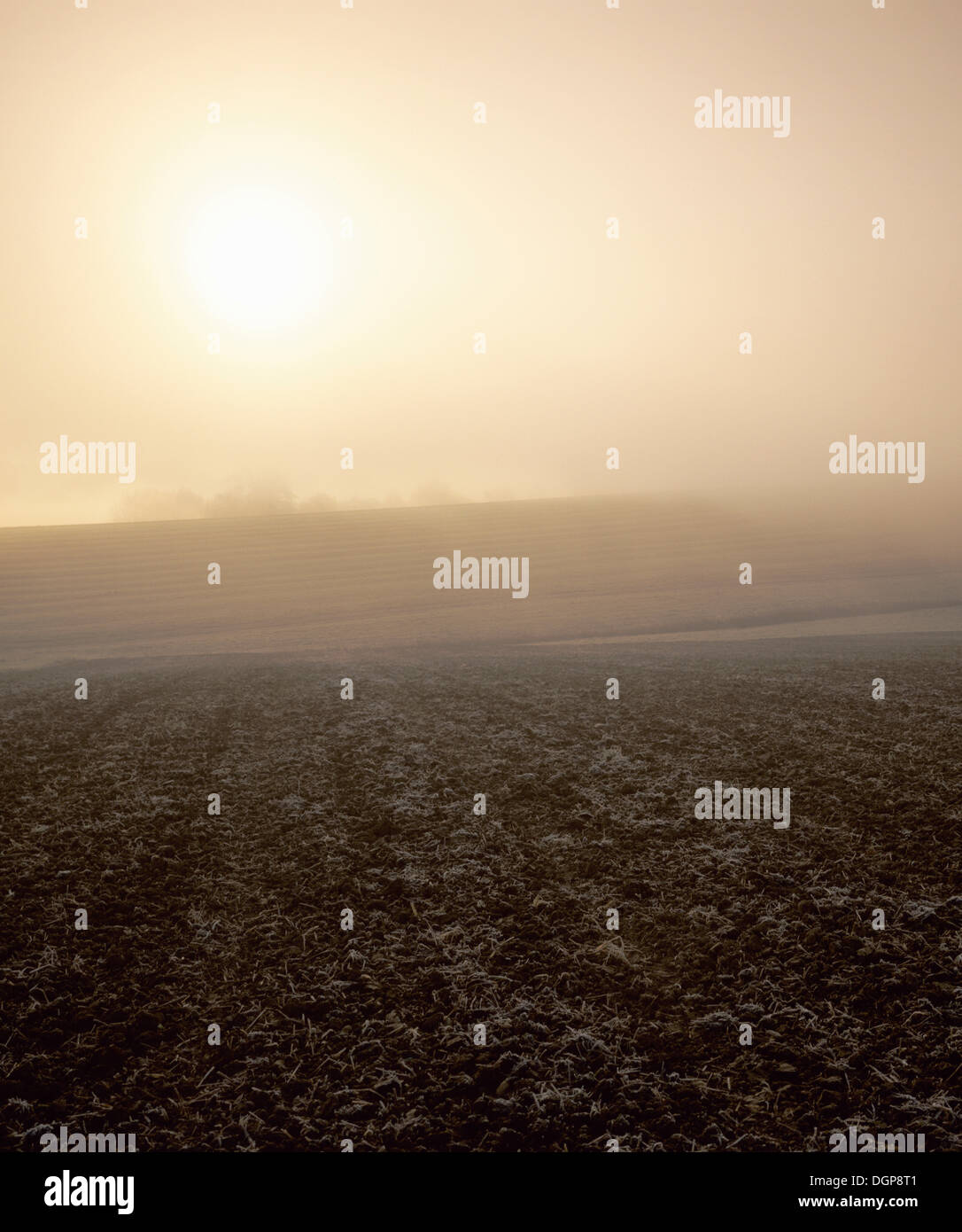 Sunrise over a field hi-res stock photography and images - Alamy