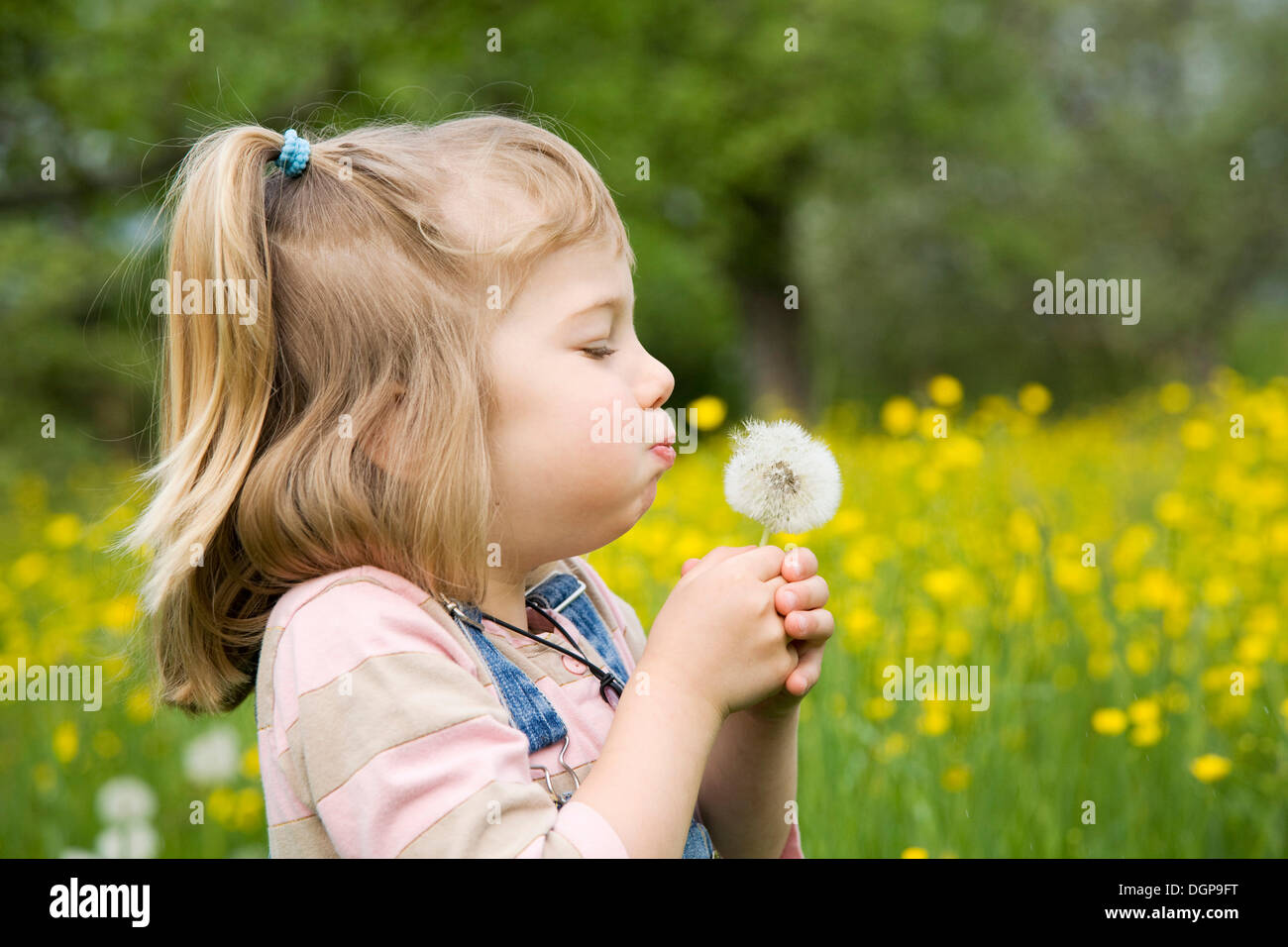 Girl sitting on a meadow holding a dandelion clock Stock Photo