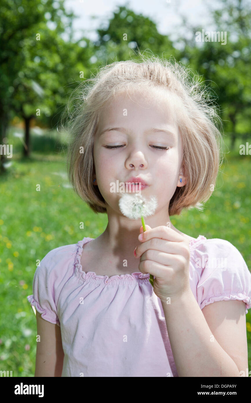 Girl blowing on a dandelion clock Stock Photo