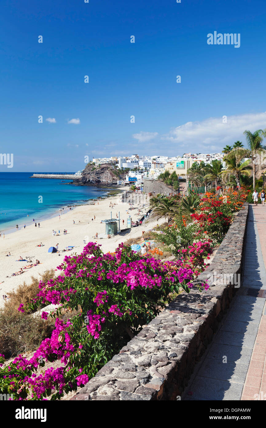 Beach promenade, Morro Jable, Fuerteventura, Canary Islands, Spain Stock Photo