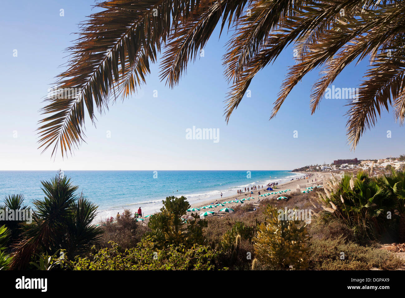 Beach of Costa Calma, Costa Calma, Fuerteventura, Canary Islands, Spain Stock Photo