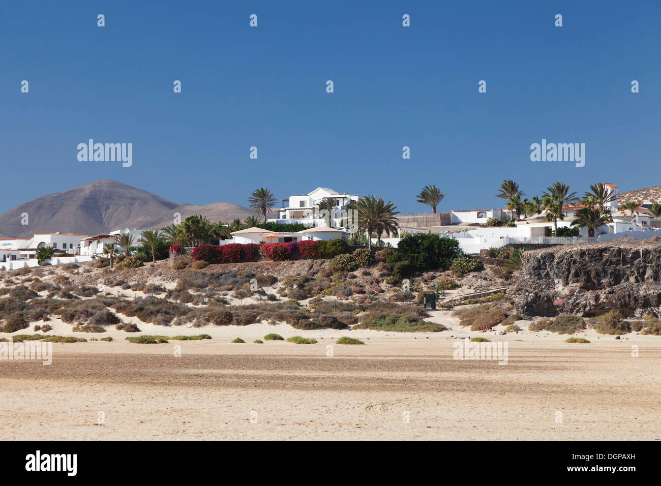 White buildings and palm trees, Casas Risco del Paso, Risco del Paso, Fuerteventura, Canary Islands, Spain Stock Photo