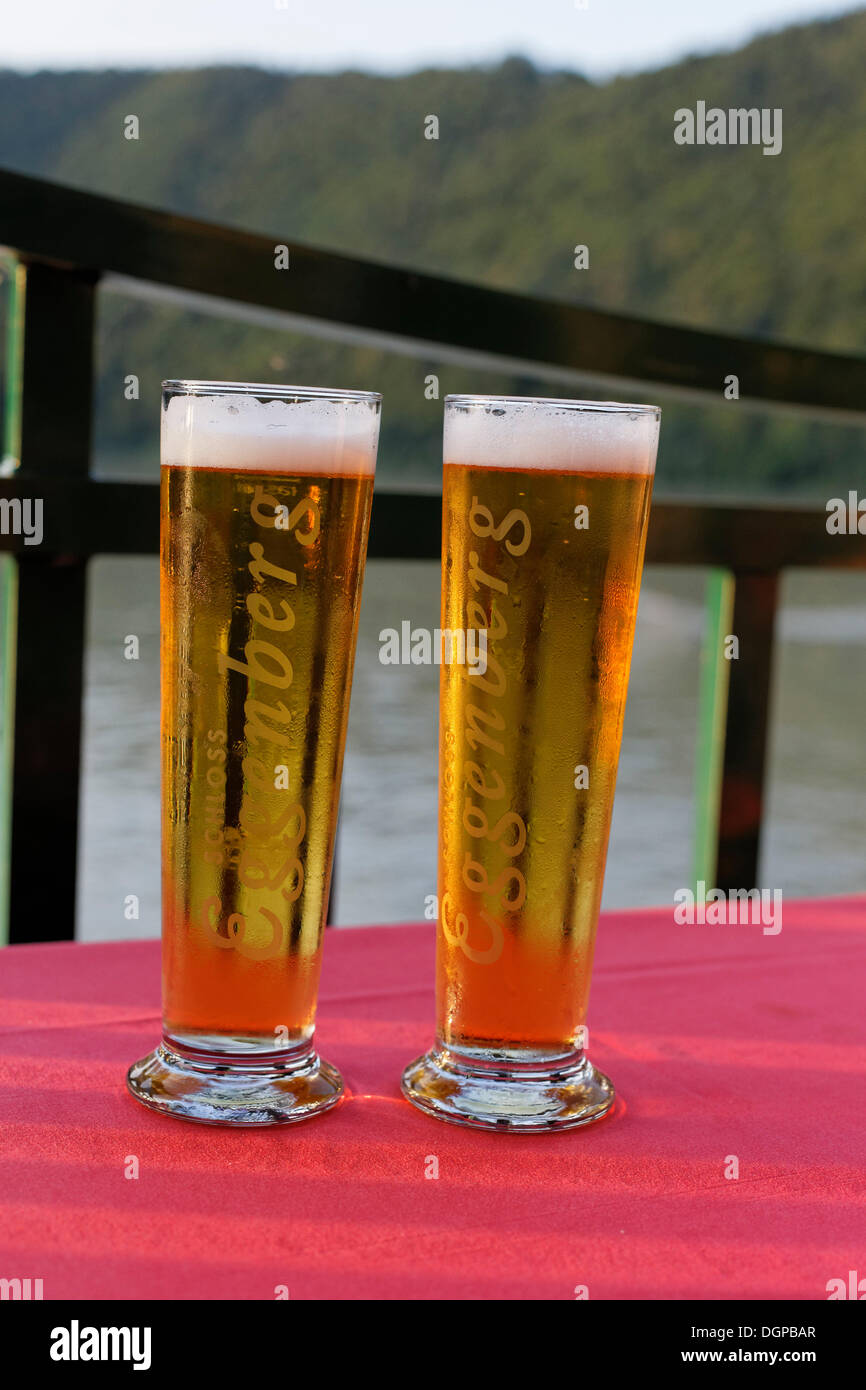 Two beer glasses with Eggenberg beer in the restaurant of the Donauschlinge Hotel, Danube, community of Haibach ob der Donau Stock Photo