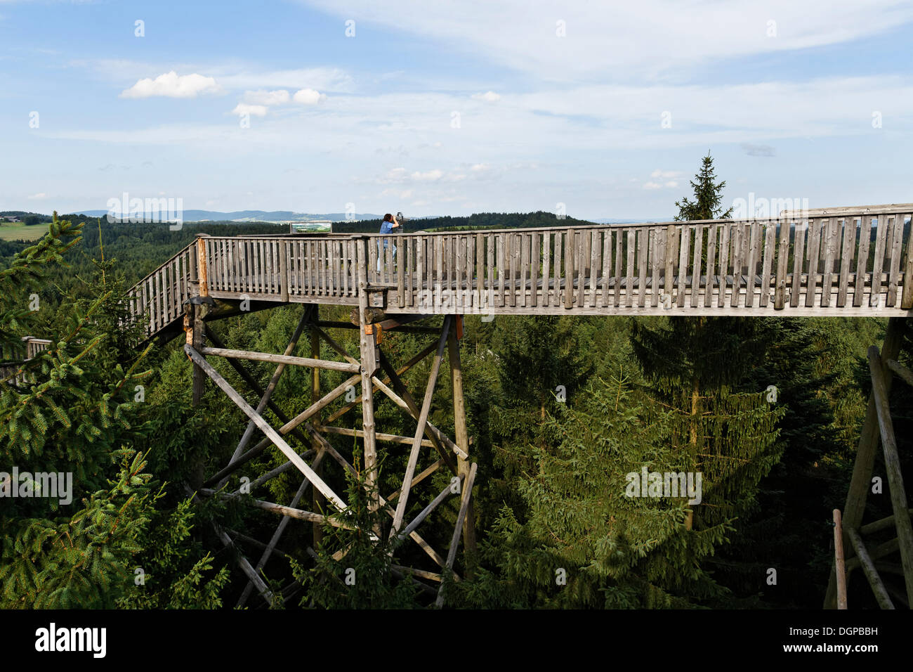 Treetop walkway, Kopfing in the Innkreis district, Innviertel region, Upper Austria, Austria, Europe Stock Photo