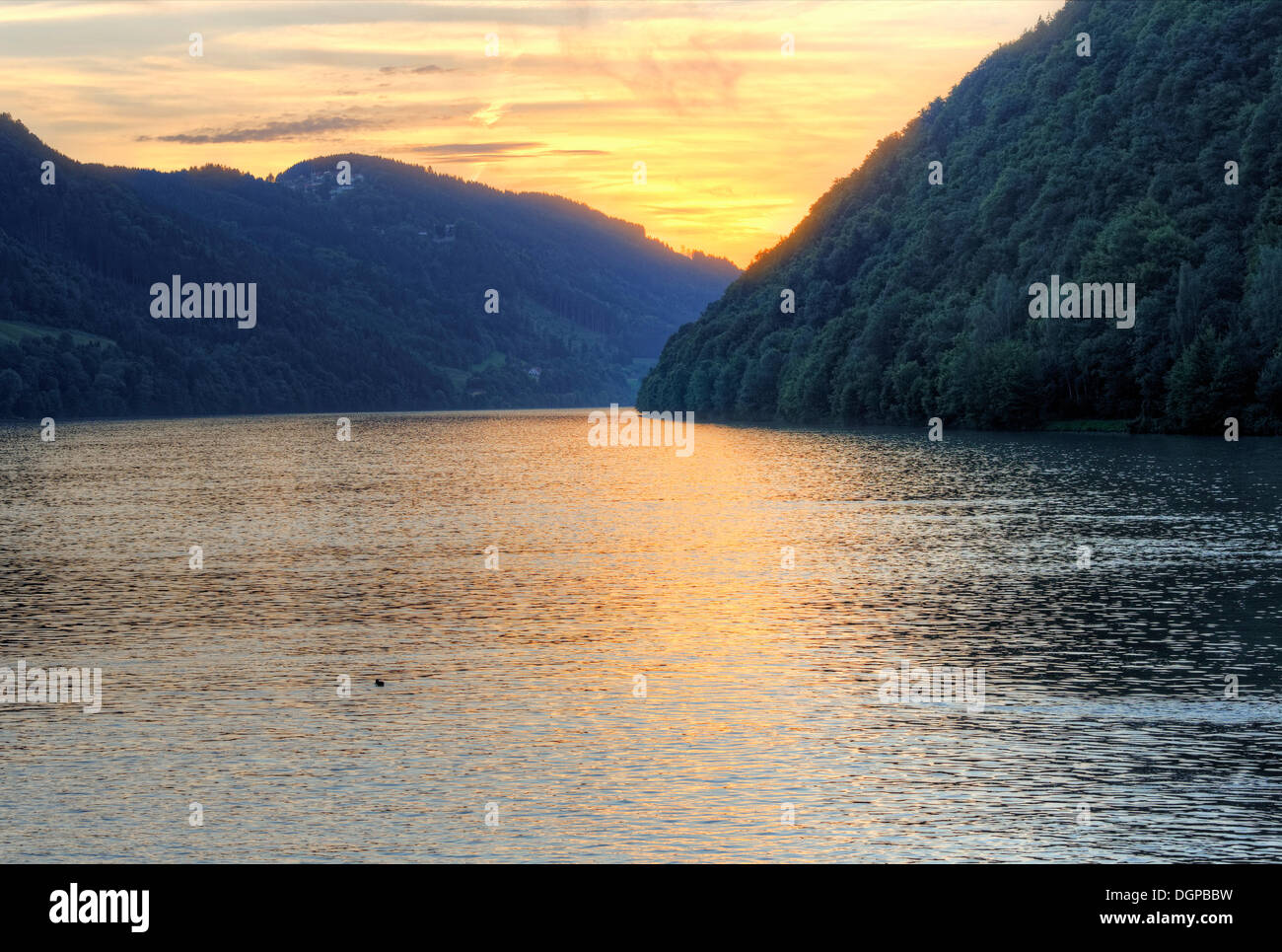 Evening on the Danube, Schloegen Loop, Hausruckviertel region, Upper Austria, Austria, Europe Stock Photo