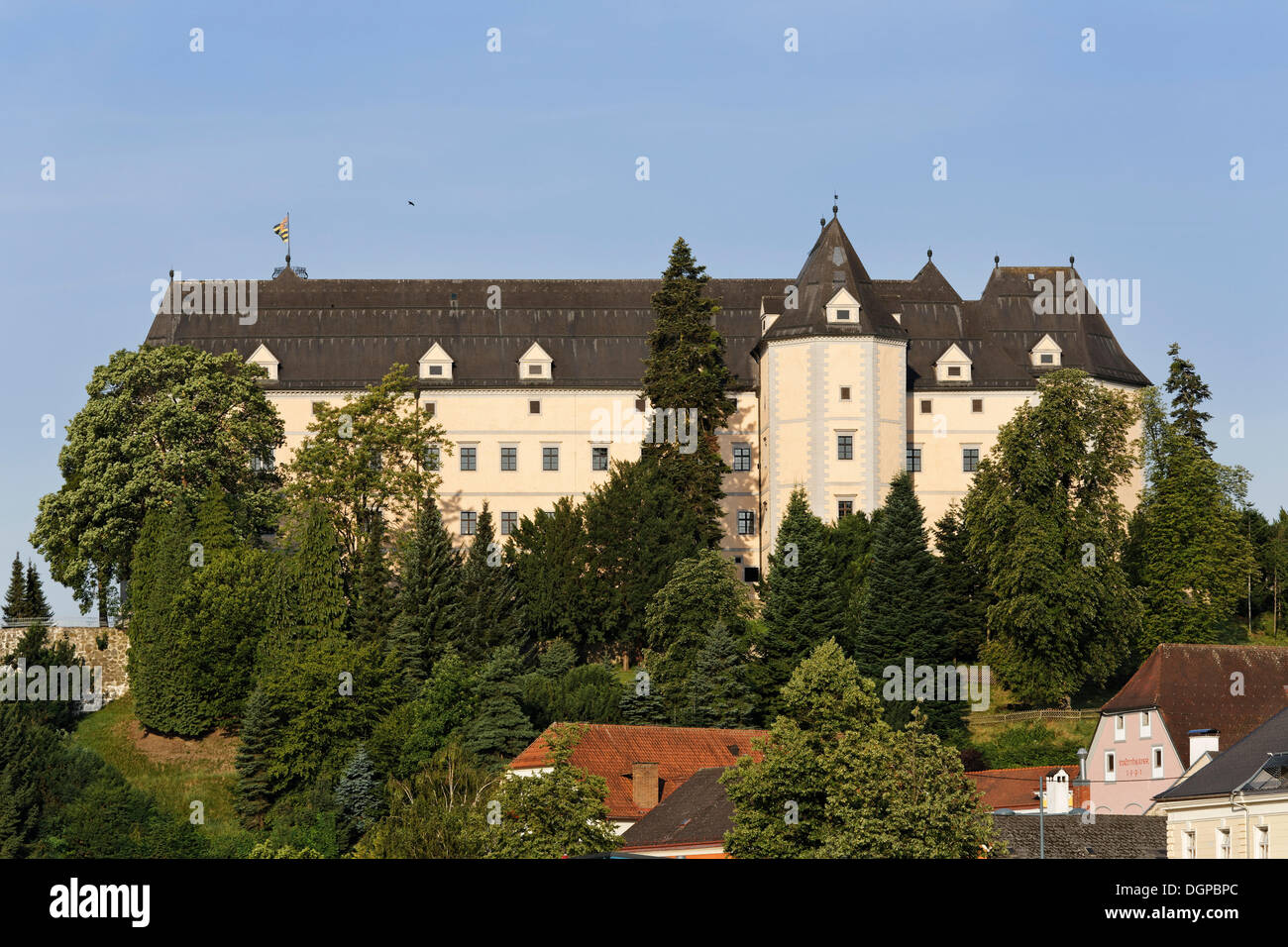 Greinburg Castle, Grein, Muehlviertel region, Upper Austria, Austria, Europe Stock Photo
