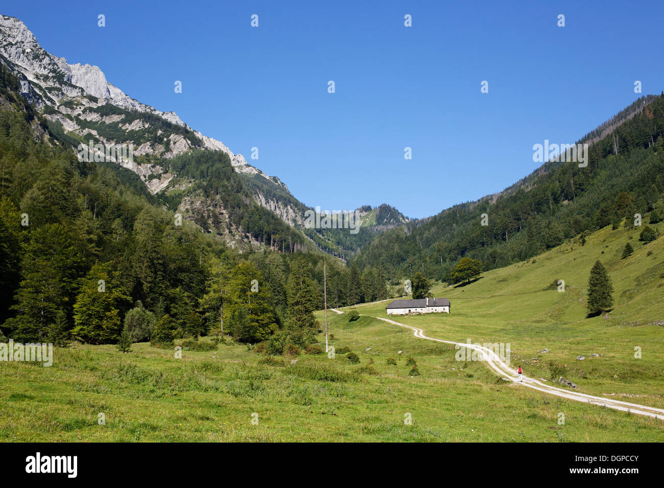 Blumauer Alm alpine pasture, Sengsen Mountains in Limestone Alps National Park, Pyhrn-Eisenwurzen region, Traunviertel district Stock Photo