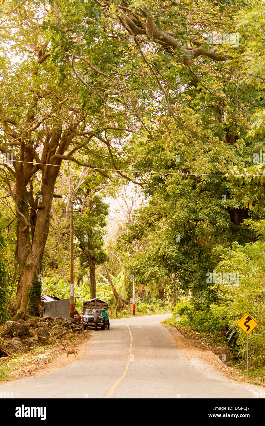 Road through the forest of Ometepe Island, Nicaragua. Stock Photo