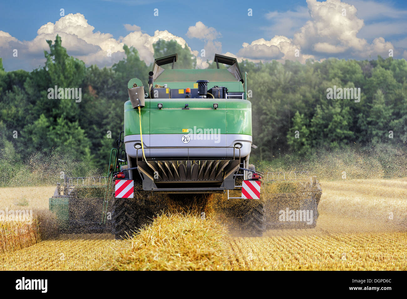 Rear view of a combine during grain harvest Stock Photo