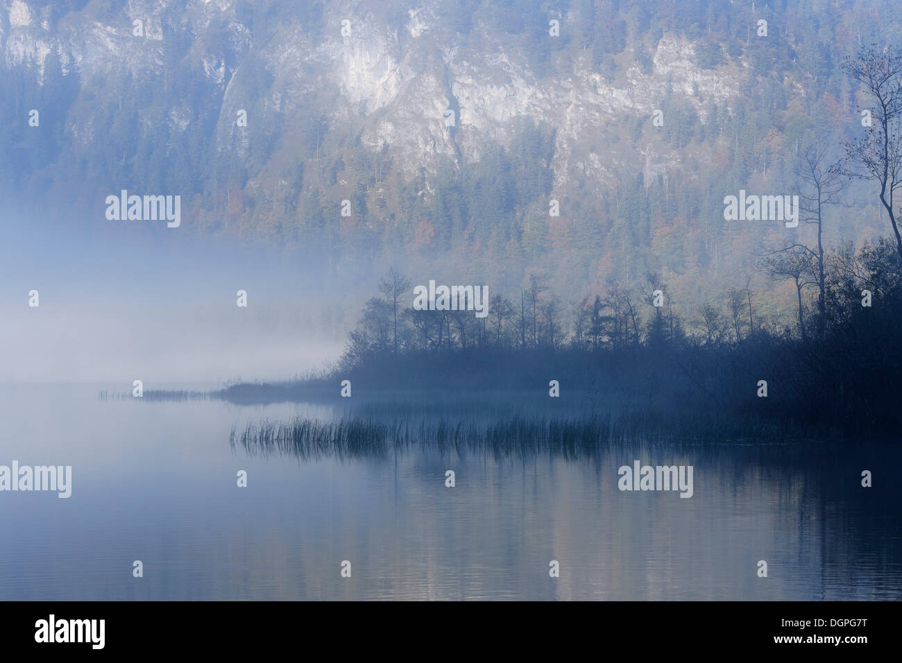 Early morning on lake Offensee, Ebensee, Salzkammergut region, Upper Austria, Austria, Europe Stock Photo