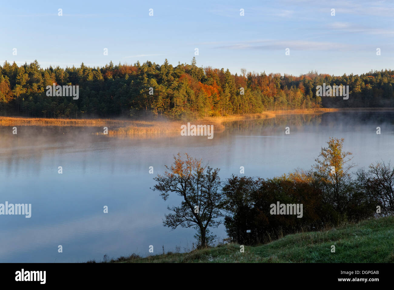 Lake Fohnsee in the early morning, in autumn, Osterseen lakes ...