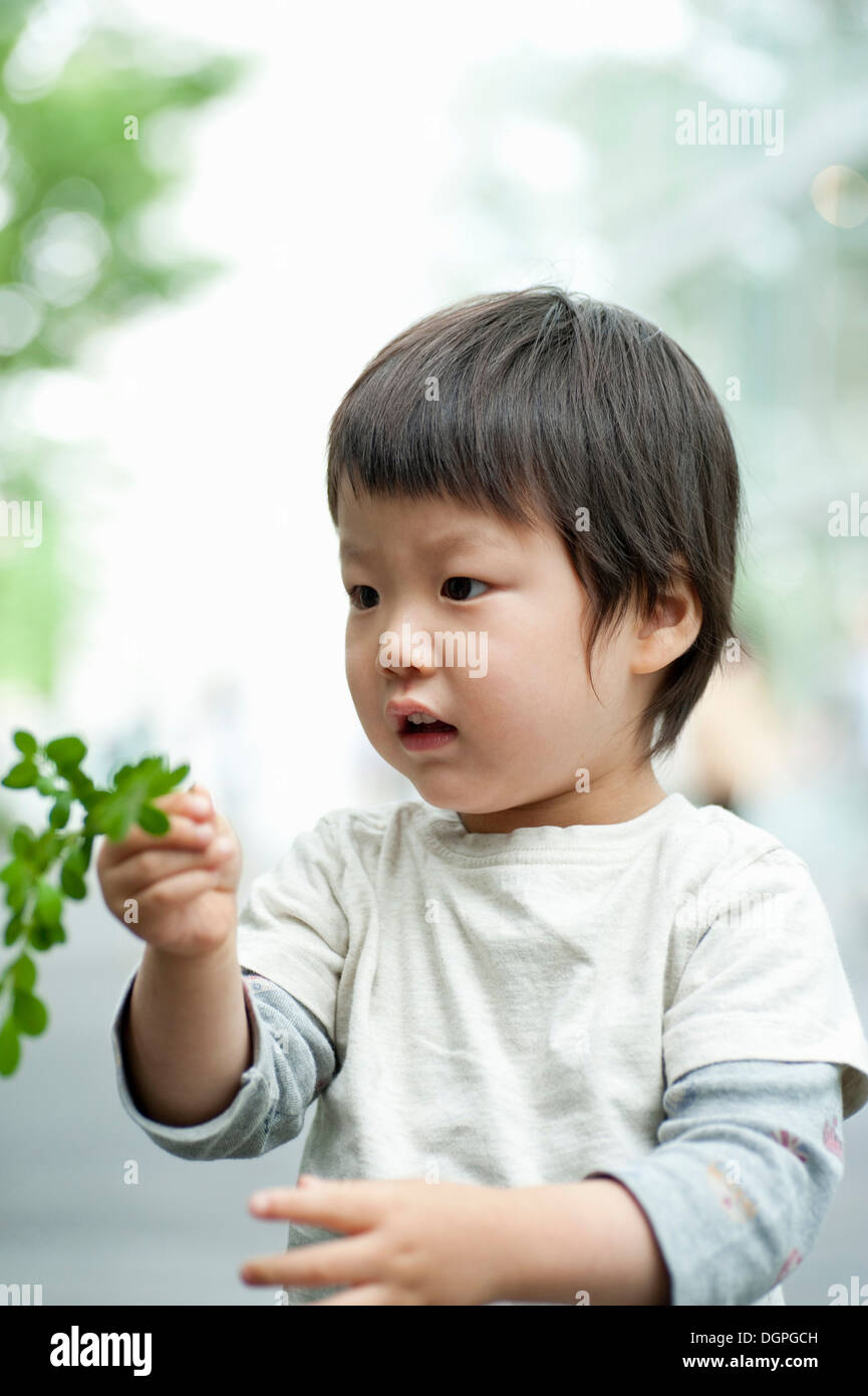 Boy looking at leaves on plant Stock Photo Alamy