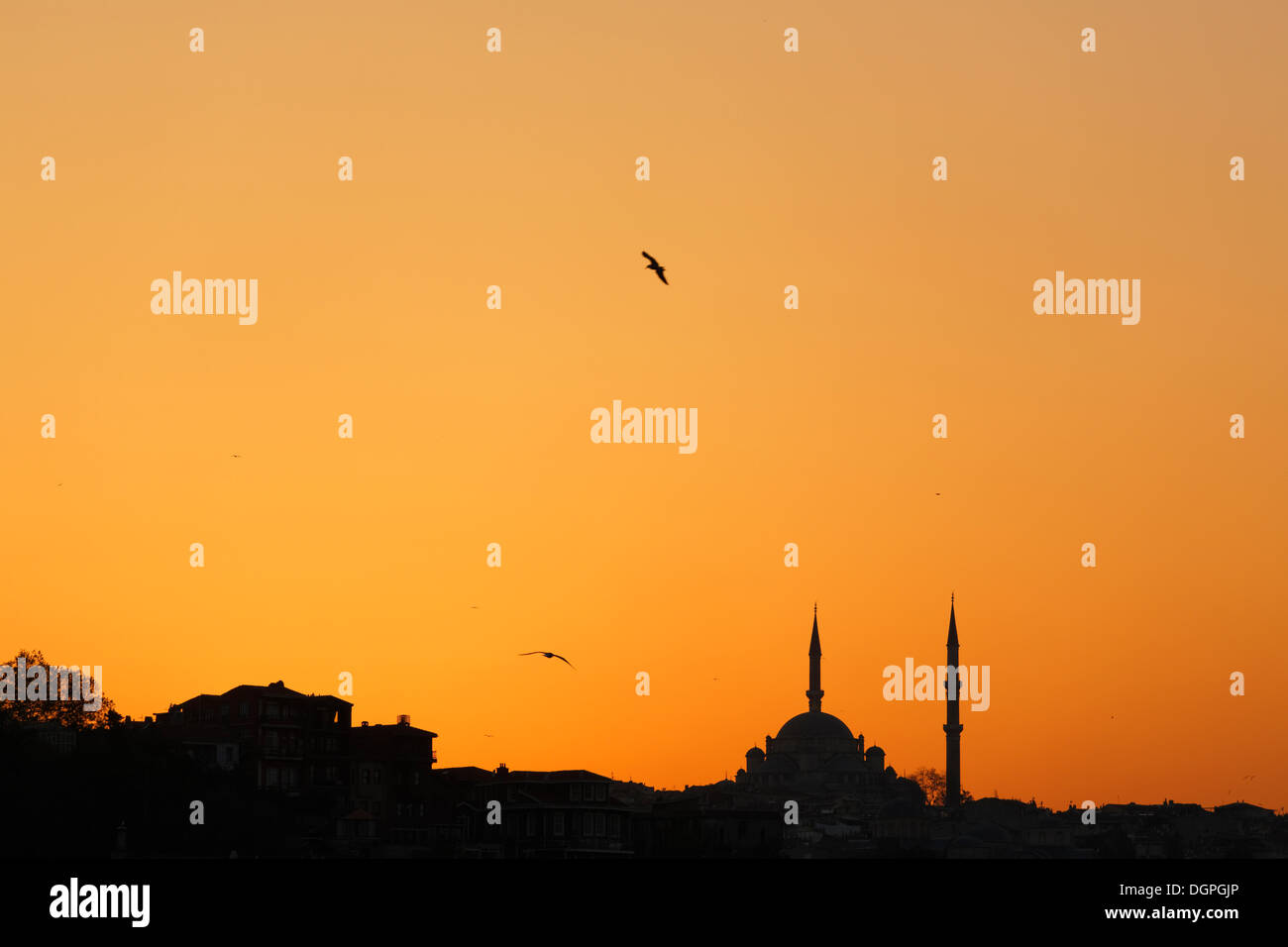 Fatih Mosque at sunset, Fatih district, Istanbul, Turkey, Europe Stock Photo