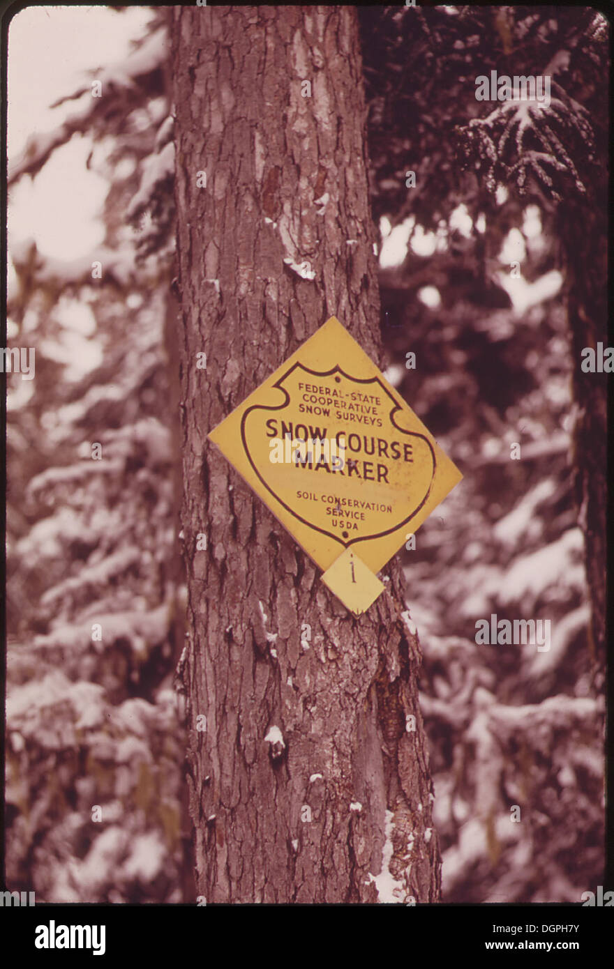 SOIL CONSERVATION SERVICE SIGN AT TILLY JANE CAMPGROUND ON MT. HOOD. FEDERAL AND STATE COOPERATIVE SNOW SURVEYS ARE... 548159 Stock Photo