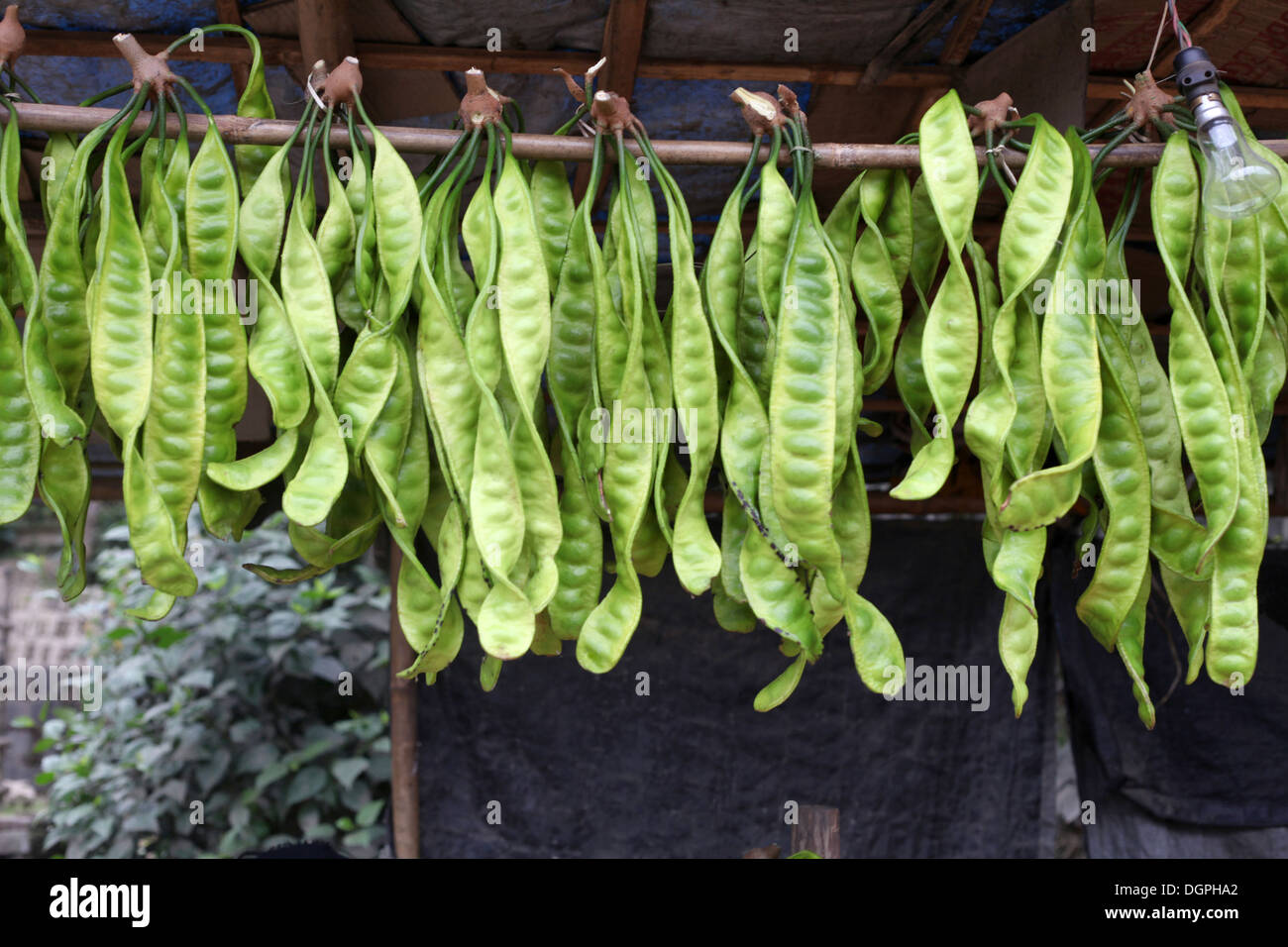 Vegetables kept for drying outside a tribal house, Kohima, Nagaland, India. Stock Photo
