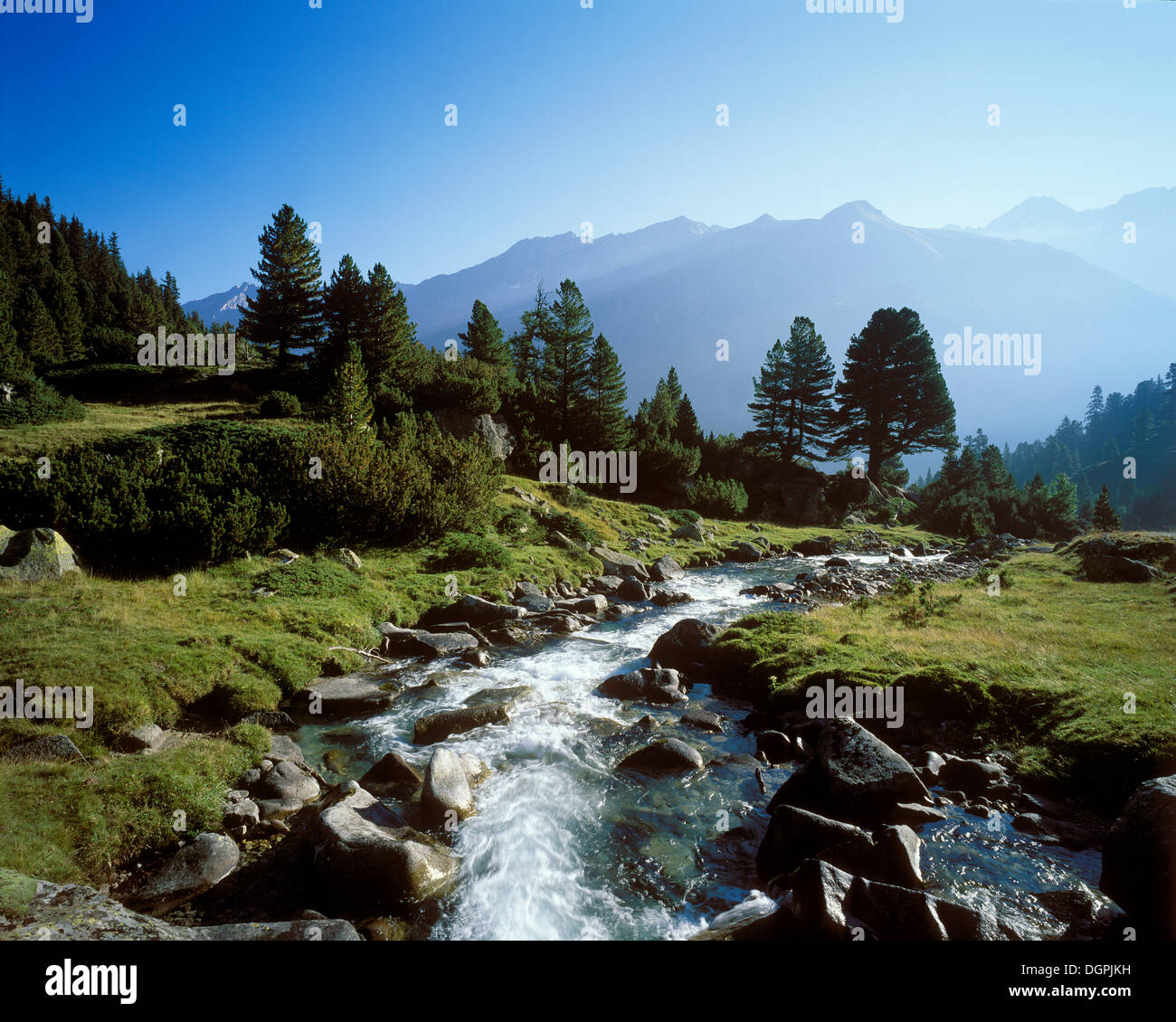 Mountain stream, Windbach, Krimmler Achental, Pinzgau, Nationalpark Hohe Tauern, Salzburg State, Austria Stock Photo