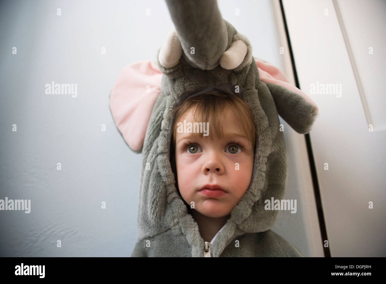 Portrait of a boy wearing an elephant costume. Stock Photo