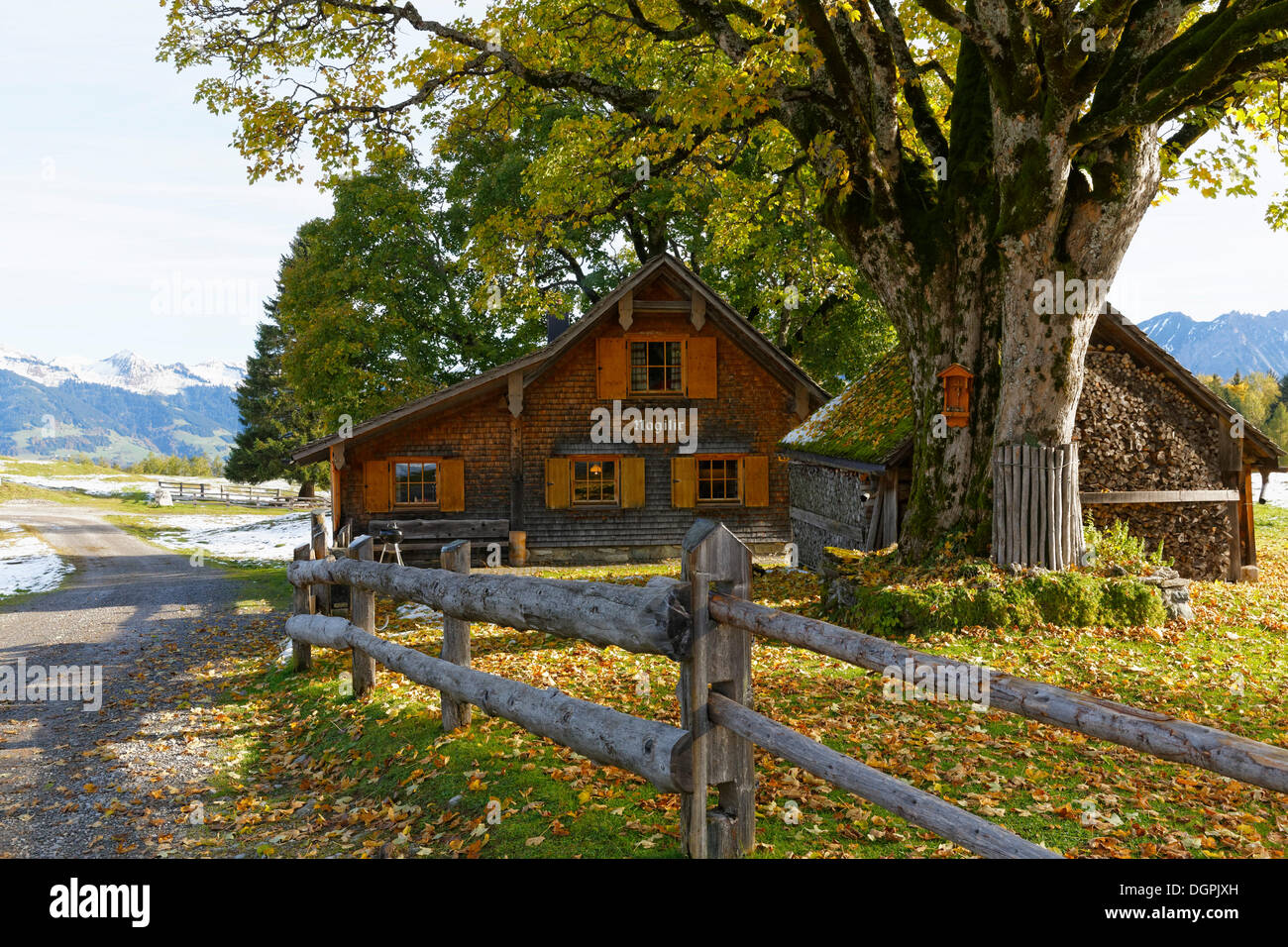 Hut on an alpine pasture, Tschengla, Bürserberg, Brandnertal, Vorarlberg, Austria Stock Photo