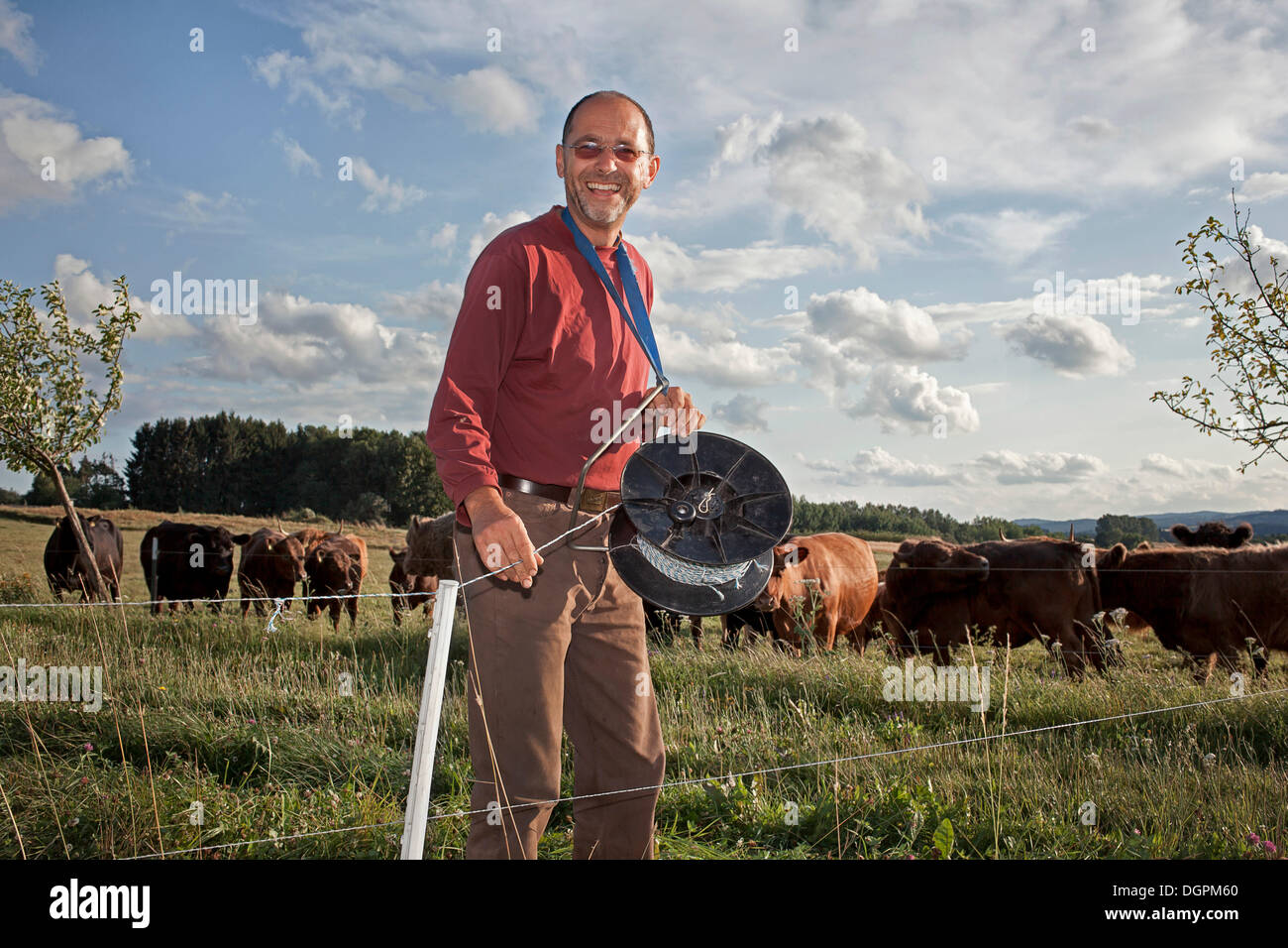 Farmer building a pasture fence Stock Photo