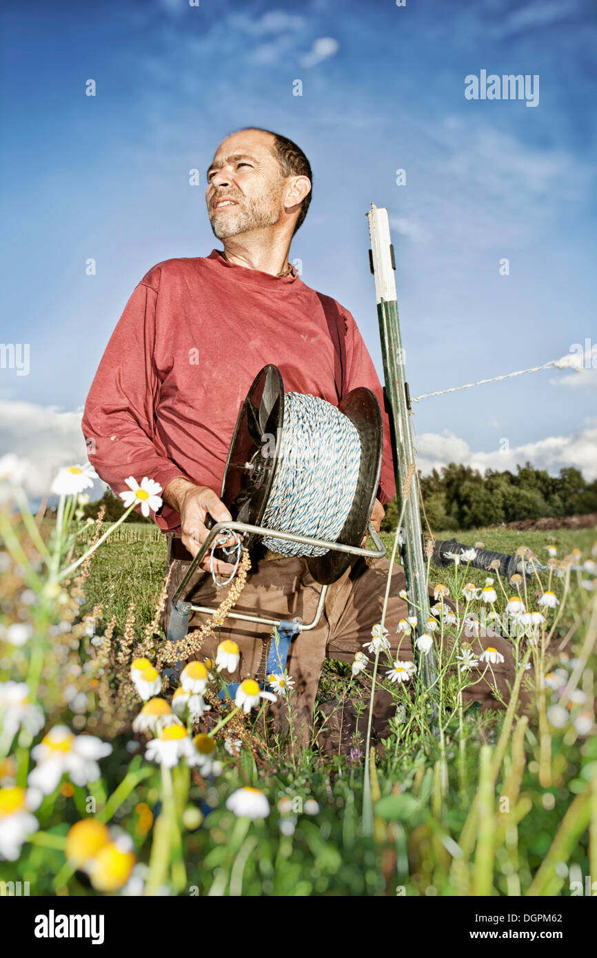 Farmer building a pasture fence Stock Photo