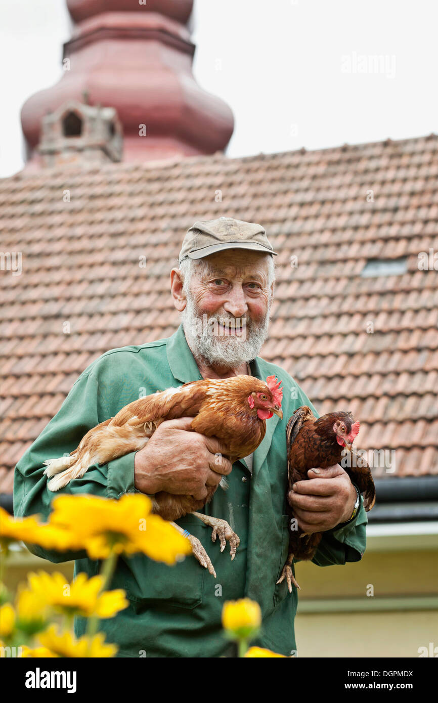 Farmer holding a chicken Stock Photo