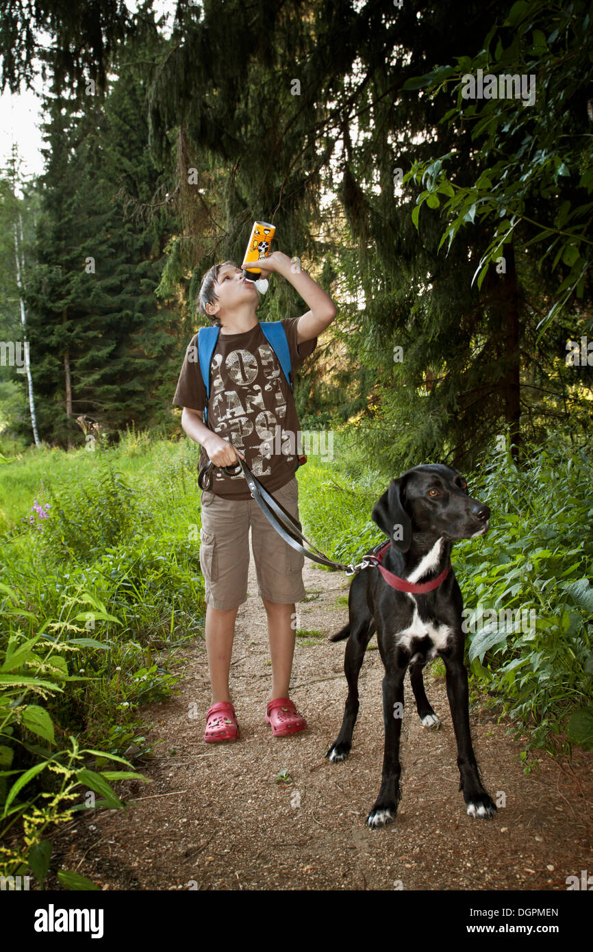 Boy drinking from a bottle, walking his hunting dog Stock Photo