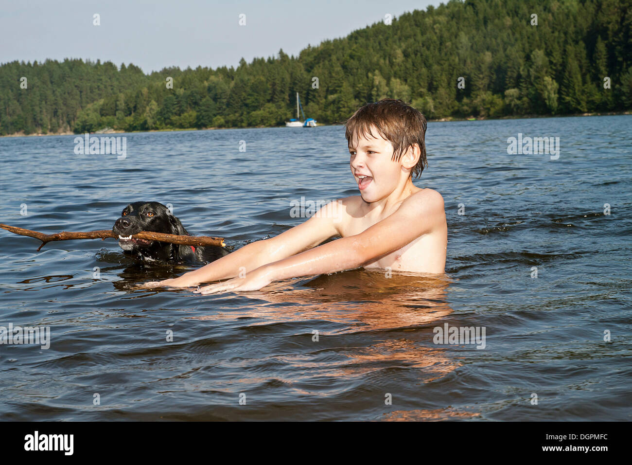 Boy playing with his hunting dog in a lake Stock Photo